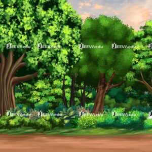 Mystic Forest Cartoon Background JMFCB07 (Adobe Photoshop)