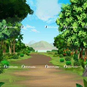 Peaceful Jungle Morning Background JPJMBX2 (Adobe Photoshop)