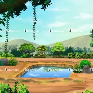 Peaceful Jungle Water Spot Background JPJWSBX4 (Adobe Photoshop)