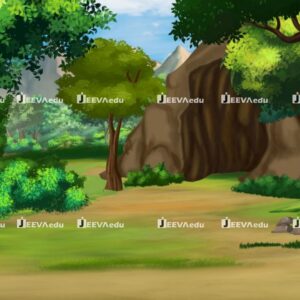 Jungle Environment Cartoon Background JJECB08 (Adobe Photoshop)